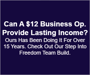 300x250 Banner Ad