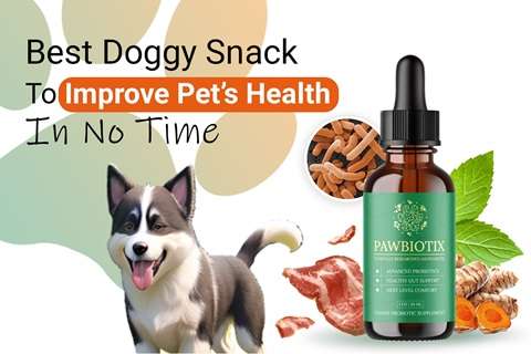 Pawbiotix - The Best <span class='highlight'>Doggy</span> Snack!