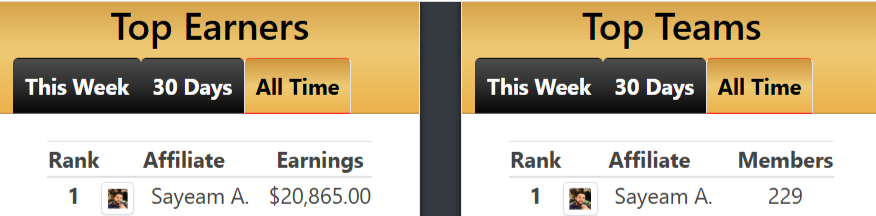 Affiliate Mentor Spark Results
